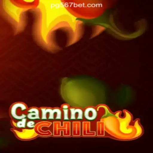 Exploring the Exciting World of CaminodeChili and 567bet.com Oficial Slots Brasil #1